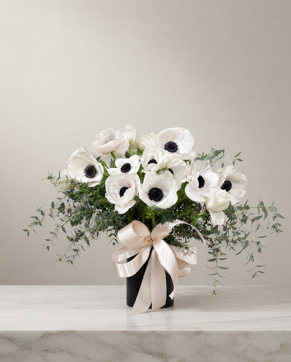 Anémona — Anemone coronaria